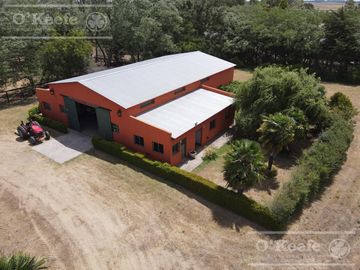 Campo en venta 50 Has en Punta Indio - Excelente Casco - Ideal Haras