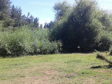 Chacra - Lago Puelo