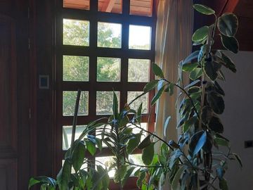 Casa en venta - 2 Dormitorios 3 Baños - 1.240Mts2 - Río Ceballos