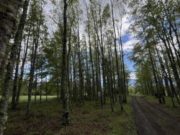 Maravillosas parcelas con impresionante vista al lago!!!