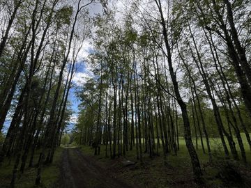 Maravillosas parcelas con impresionante vista al lago!!!