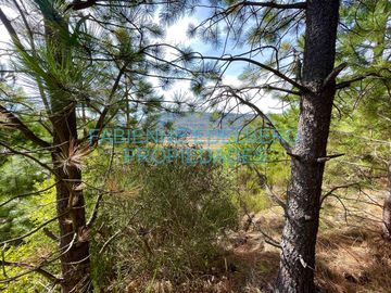 Terreno 1400 m2 vistas y sol - Los Faldeos de Chapelco