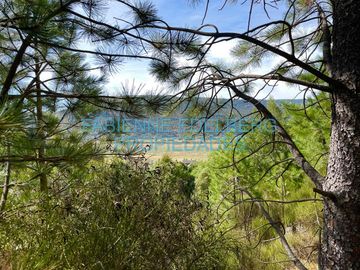 Terreno 1400 m2 vistas y sol - Los Faldeos de Chapelco
