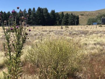 Terreno - San Martin De Los Andes