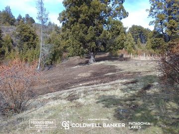 VENTA chacra en cholila con vista al lago, Chubut