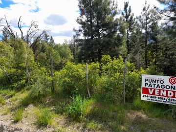 Chacra en Golondrinas