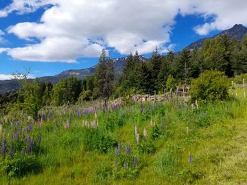 Chacra en Golondrinas