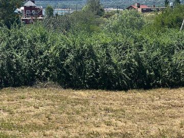 EN VENTA TERRENO PLANO EN SIQUIMAN CON INCREIBLE VISTA A 300MTS DEL LAGO SAN ROQUE REF: 1851