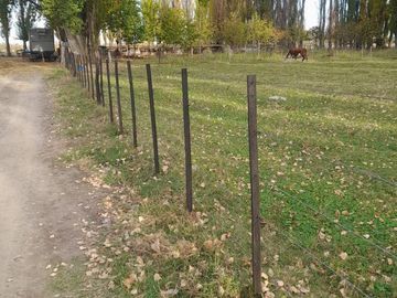 En Venta, Chacras Productivas de 34 Ha, Entre Lamarque y Pomona.