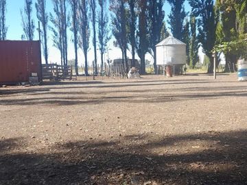 En Venta, Chacras Productivas de 34 Ha, Entre Lamarque y Pomona.