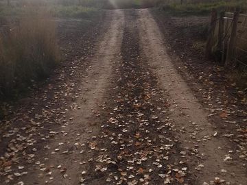 En Venta, Chacras Productivas de 34 Ha, Entre Lamarque y Pomona.