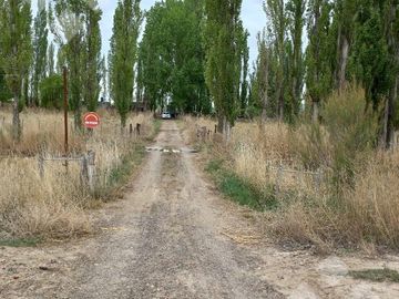 En Venta, Chacras Productivas de 34 Ha, Entre Lamarque y Pomona.