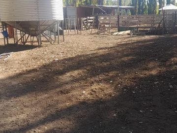 En Venta, Chacras Productivas de 34 Ha, Entre Lamarque y Pomona.