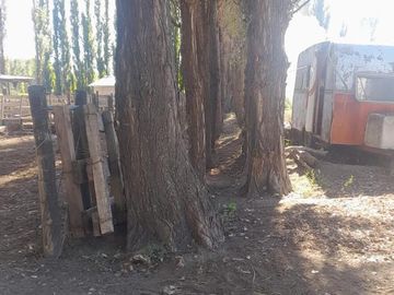 En Venta, Chacras Productivas de 34 Ha, Entre Lamarque y Pomona.