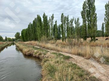 En Venta, Chacras Productivas de 34 Ha, Entre Lamarque y Pomona.