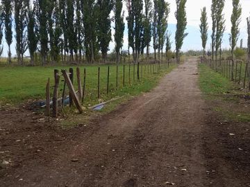 En Venta, Chacras Productivas de 34 Ha, Entre Lamarque y Pomona.