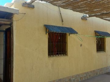 VENTA DE FINCA CON 2 CASAS RIVADAVIA MENDOZA