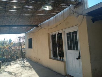 VENTA DE FINCA CON 2 CASAS RIVADAVIA MENDOZA