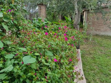 Casa en Estancia Vieja