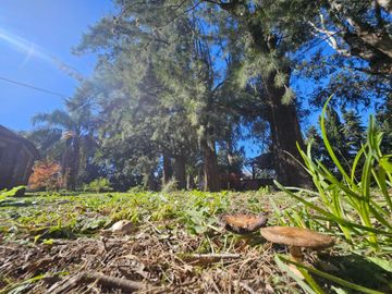 Casa quinta en venta de 5320m2 ubicado en Ezeiza