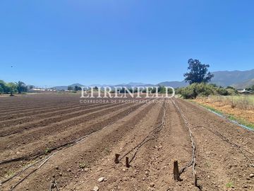 San Isidro, Quillota. Terreno en sector Pueblo de Indios.