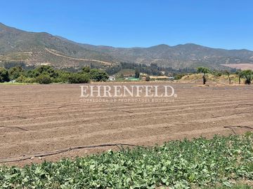 San Isidro, Quillota. Terreno en sector Pueblo de Indios.