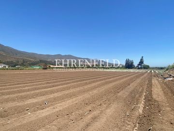 San Isidro, Quillota. Terreno en sector Pueblo de Indios.