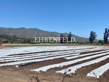 San Isidro, Quillota. Terreno en sector Pueblo de Indios.