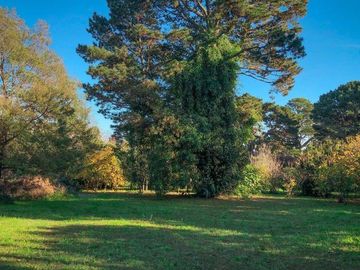 CASA QUINTA EN GLORIA DE LA PELEGRINA