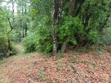 Parcela en venta en VILLARRICA