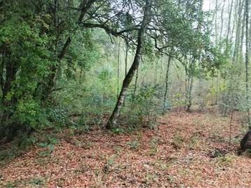 Parcela en venta en VILLARRICA