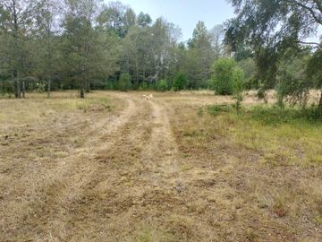 Parcela en venta en VILLARRICA