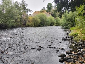 Parcela en venta en VILLARRICA