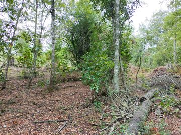 Parcela en venta en VILLARRICA