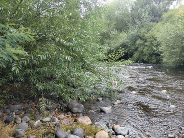 Parcela en venta en VILLARRICA