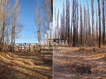 Casa en  el medio de la naturaleza