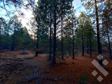 Venta 2 hectáreas - Zona aeropuerto - San Martin de los Andes