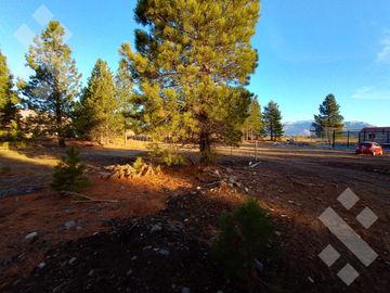 Venta 2 hectáreas - Zona aeropuerto - San Martin de los Andes