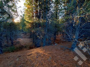 Venta 2 hectáreas - Zona aeropuerto - San Martin de los Andes