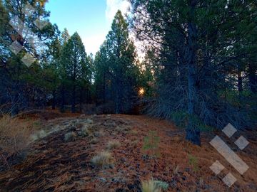 Venta 2 hectáreas - Zona aeropuerto - San Martin de los Andes