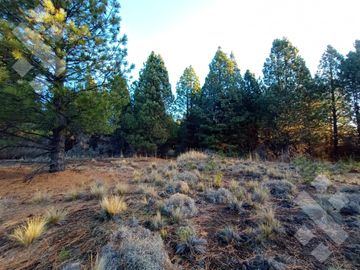 Venta 2 hectáreas - Zona aeropuerto - San Martin de los Andes