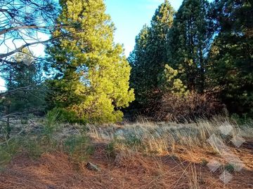 Venta 2 hectáreas - Zona aeropuerto - San Martin de los Andes