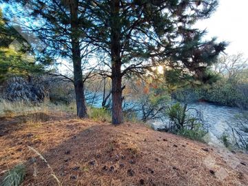 Venta 2 hectáreas - Zona aeropuerto - San Martin de los Andes
