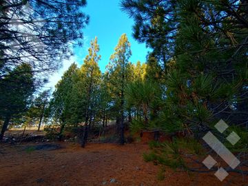 Venta 2 hectáreas - Zona aeropuerto - San Martin de los Andes