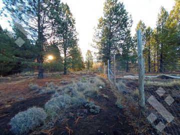 Venta 2 hectáreas - Zona aeropuerto - San Martin de los Andes