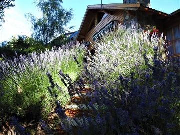 Venta casa 2 dorm c/ quincho B°Altos del Chapelco, San Martin de Los Andes