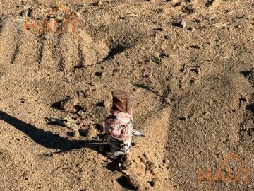 Terreno en arroyito senillosa 450mtrs2