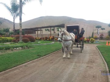 Vendo Terreno En Condominio Fundo Pradera Asia