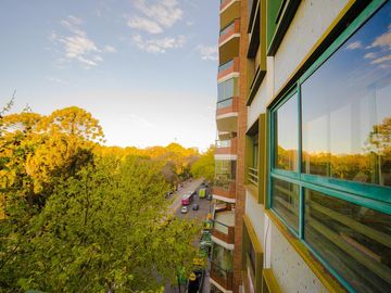 Departamento - Botanico