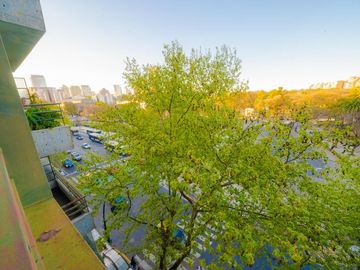 Departamento - Botanico